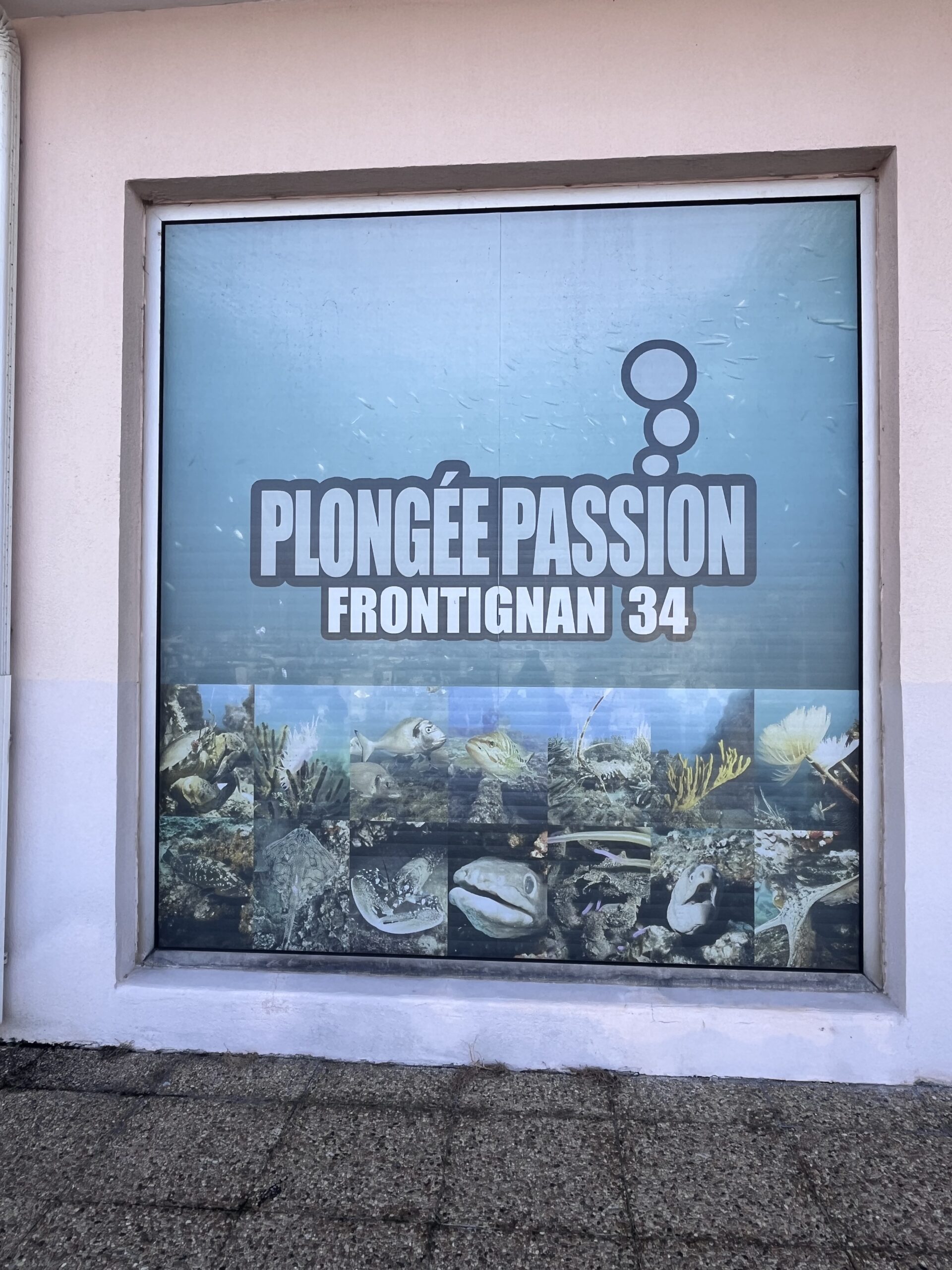 Plongée Passion Frontignan 34